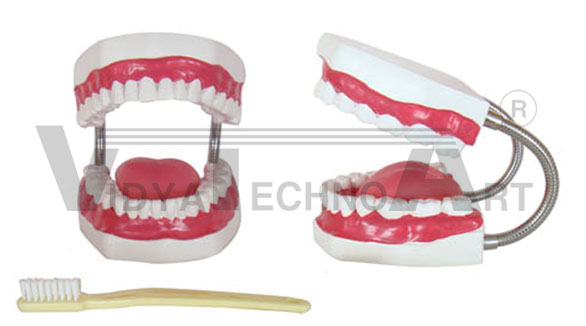 New style health care of mouth cavity (with tooth brush)